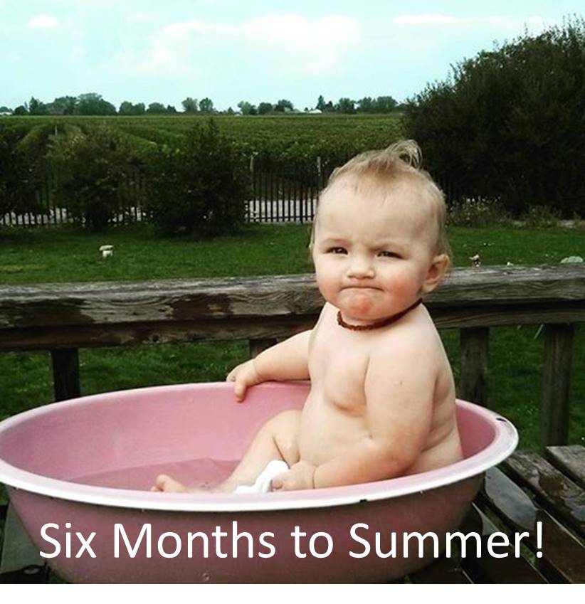 Six Months to Summer